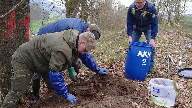 Vorsichtig wird der gesamte Ameisenhügel in Tonnen befördert. Foto: Stephanie Elm