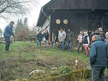 Norbert Wimmer zeigte in seinem Garten in Strössendorf, dass Sensen mit ein wenig Übung gar nicht so schwer ist. Foto: Corinna Tübel