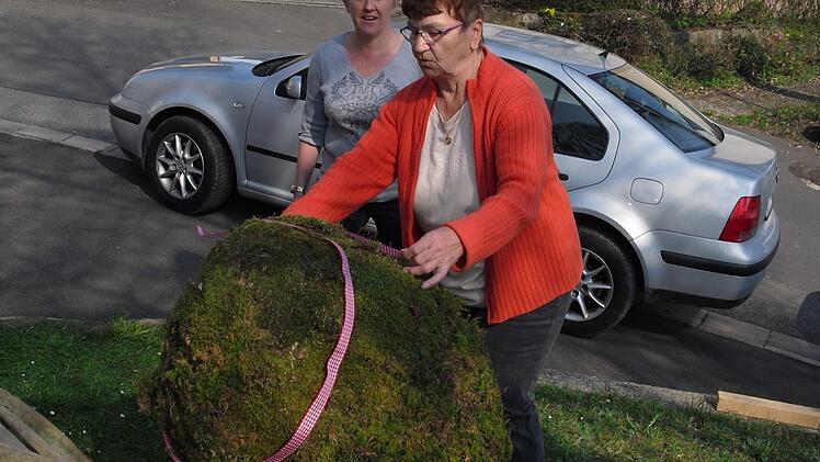 Zum Schluss wird der Osterbrunnen geschmückt. Foto: Helmut Klösel