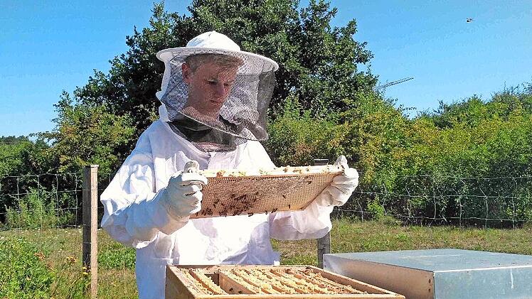 Erik Busch mit den Schulbienen in Hemhofen