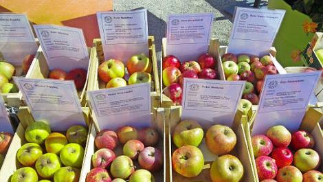 Alles dreht sich um die &Auml;pfel beim 26. Apfelfest in Ebern.  Foto: Harald Amon