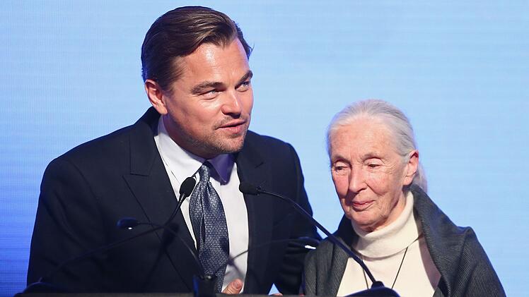 Zahlreiche Hollywood-Stars, darunter Leonardo DiCaprio, würdigten das Schaffen von Affenforscherin Jane Goodall.
