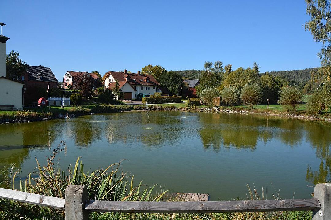 05.11.2015  Fotoreportage Thann