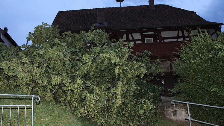 Umgestürzt ist dieser Baum vor der Alten Schmiede in Gemünda. Foto: Carsten Höllein