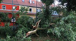 Vorschaubild