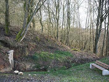 Sie ist das neueste Projekt der Stiftung "Dorfgemeinschaft 1150 Jahre Gemünda": die Quelle an der Heiligenleite, unweit der beliebten Kapelle. Foto: Bettina Knauth