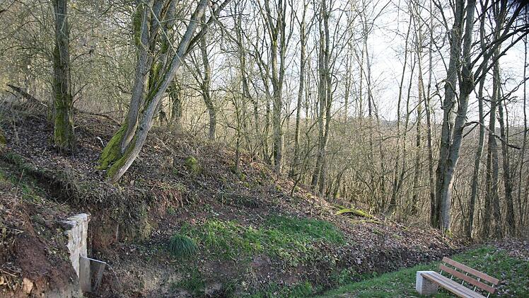 Sie ist das neueste Projekt der Stiftung "Dorfgemeinschaft 1150 Jahre Gemünda": die Quelle an der Heiligenleite, unweit der beliebten Kapelle. Foto: Bettina Knauth