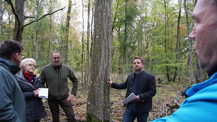 Hubertus Tumpach (Dritter von links) und Matthias Wallrapp (Vierter von links) erläutern die Situation im Wald. Foto: Arkadius Guzy