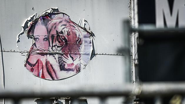 Ausgebrochener Tiger - Tag danach