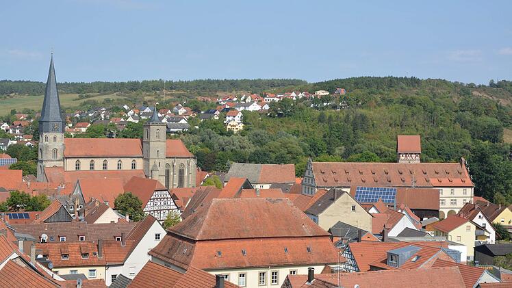 Die historischen Gebäude von Münnerstadt konnten Interessierte beim "Tag des offenen Denkmals" besichtigen. Foto: Björn Hein