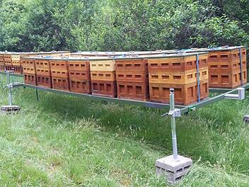 Die Bienenstöcke von Simone Kirchner und ihrem Lebensgefährten sind transportabel. Durch unterschiedliche Standorte gibt es auch verschiedene Honigsorten.   Foto: privat