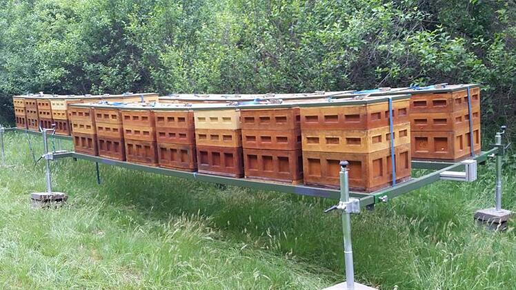 Die Bienenstöcke von Simone Kirchner und ihrem Lebensgefährten sind transportabel. Durch unterschiedliche Standorte gibt es auch verschiedene Honigsorten.   Foto: privat