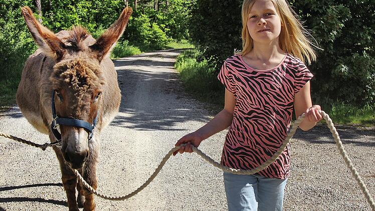 Ein Mädchen führt einen Esel an der Leine auf einem sonnigen Waldweg. Ideal für kinderfreundliche Aktivitäten in Bamberg, wie Eselswanderungen.