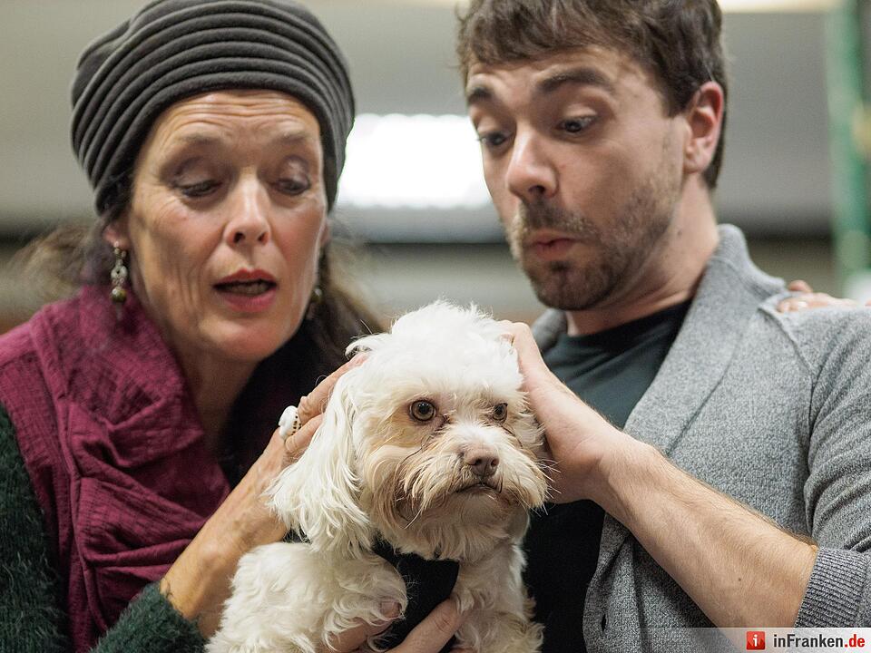 Casting für kleine Hunde am Landestheater Coburg