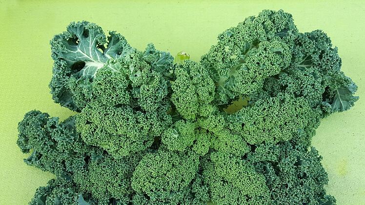 Grünkohl ist in Norddeutschland sehr beliebt. In Bayern wird er jedoch  weniger angebaut und gegessen. Dieter Britz