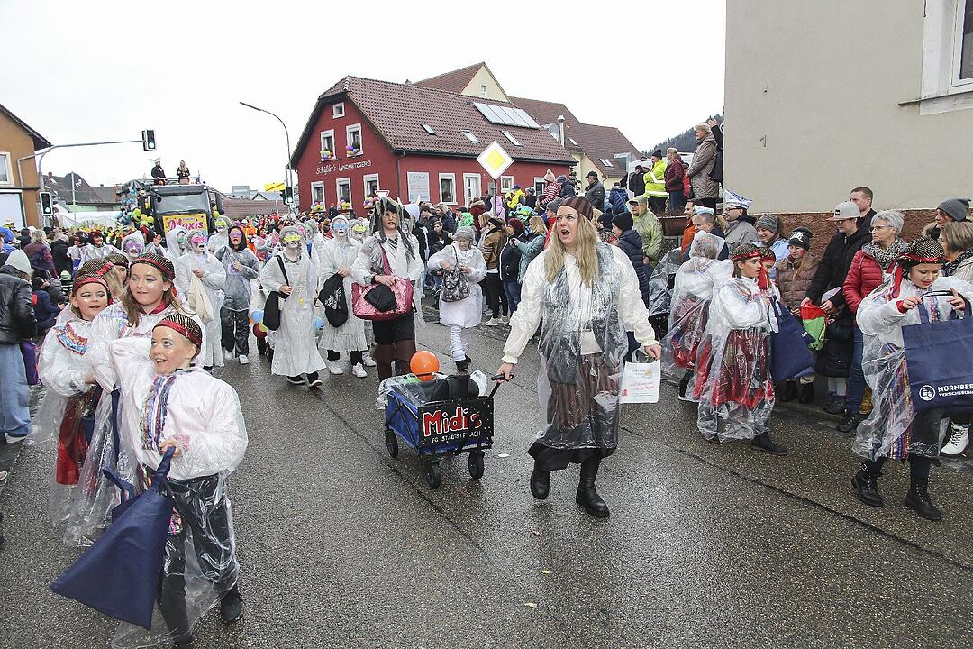 Großer Faschingsumzug  zum Stadtsteinacher Marktplatz
