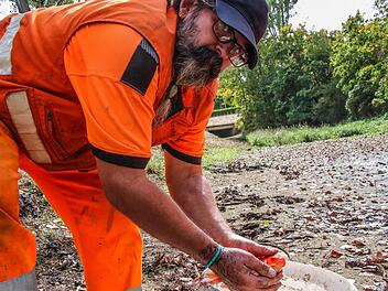 Stadtarbeiter Jürgen Breitenstein rettet einen Fisch. Foto: Sebastian Schanz