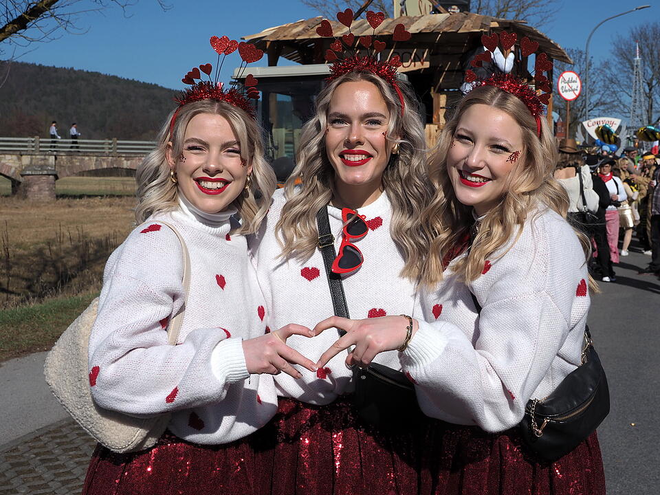 Buntes Faschingstreiben in Unterfranken!