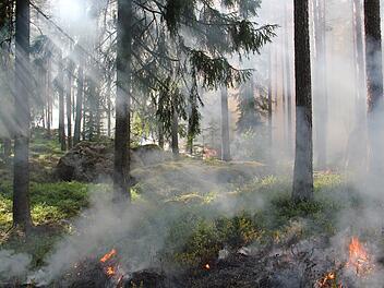 Waldbrand