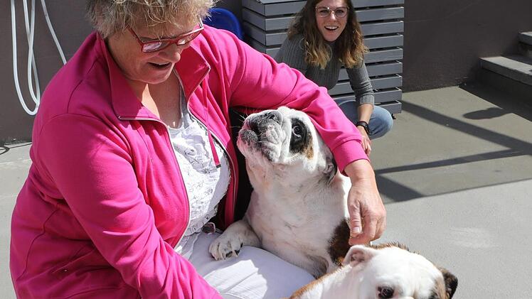 Auf dem Hundehof in WattendorfFoto: Barbara Herbst