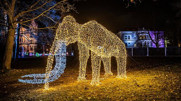 "Winter Wonderland" an Schloss Faber-Castell in Stein: Bilderstrecke