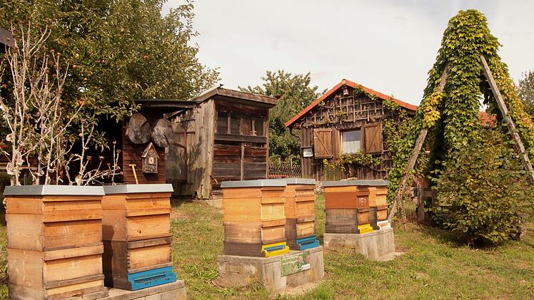 Der Lehrbienenstand in Kirchlauter