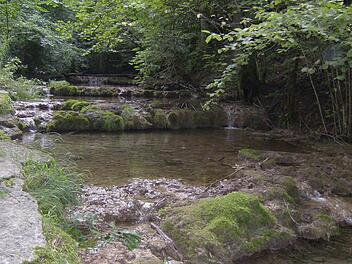 Die Kalksinterterrassen des Lillachbachs. Fotos: Petra Malbrich