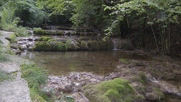 Die Kalksinterterrassen des Lillachbachs. Fotos: Petra Malbrich