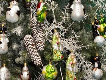 Foto: Symbolbild Barbara Herbst