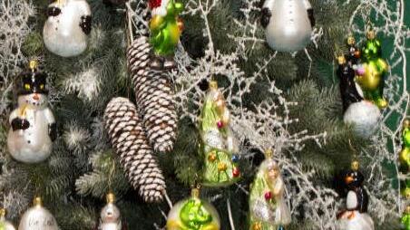 Foto: Symbolbild Barbara Herbst