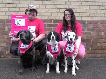 Die Veranstalter Tim Biermann und Steffi Lurz freuen sich mit ihren Hunden "Amy", "Laika" und "Tinka" auf "Spring-Dog", den ersten fränkischen Hundefrühlingsmarkt am 5. Mai in Haßfurt.Christian Licha