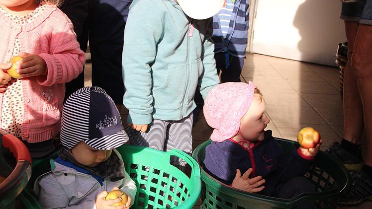 Die Brünner Krippenkinder bei der Apfelaktion des Kindergartens.Heike Beudert