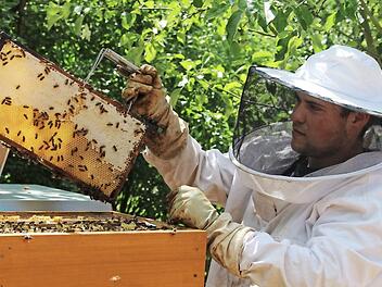Johannes Konrad bei der Entnahme einer Honigwabe: Der 20-Jährige ist Imker aus Leidenschaft.  Fotos: Roland Dietz