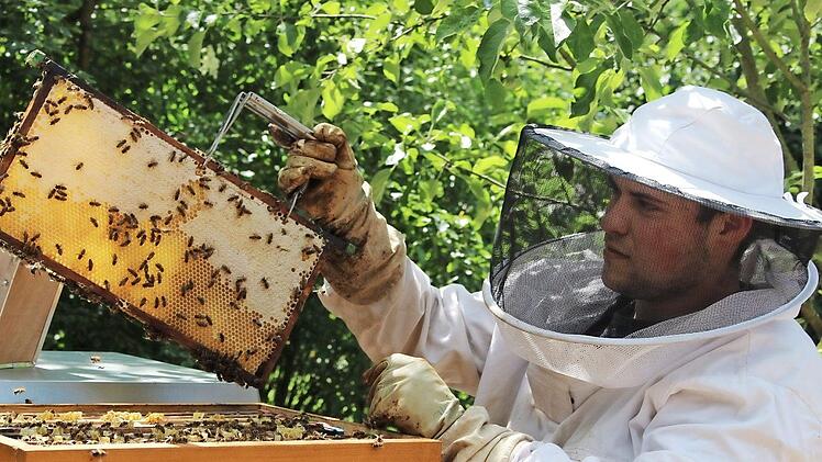 Johannes Konrad bei der Entnahme einer Honigwabe: Der 20-Jährige ist Imker aus Leidenschaft.  Fotos: Roland Dietz