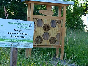 An der "Blühwiese" gegenüber dem Oerlenbacher Rathaus erwartet ein schickes Insektenhotel brummende Bewohner. Den Bau finanzierte das Landratsamt im Rahmen des Grüngitterprogramms.