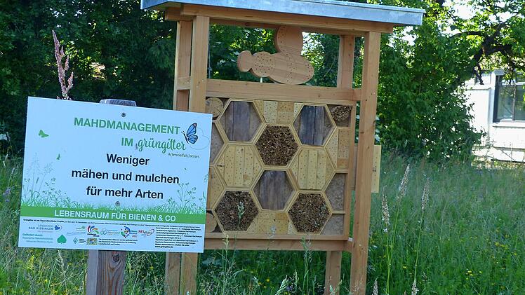 An der "Blühwiese" gegenüber dem Oerlenbacher Rathaus erwartet ein schickes Insektenhotel brummende Bewohner. Den Bau finanzierte das Landratsamt im Rahmen des Grüngitterprogramms.