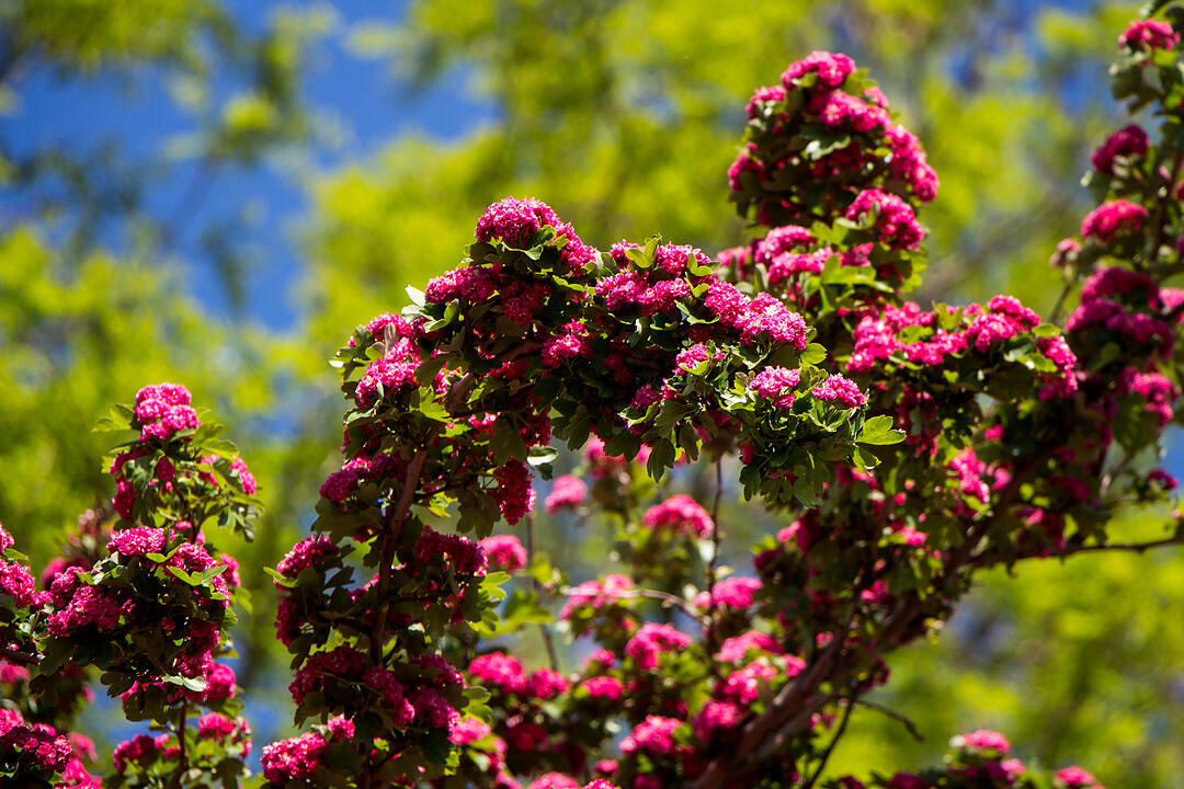 Fotos Konrad Thomann