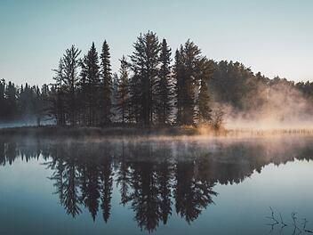 F&uuml;r rund 500 Fische im Weiher besteht Hoffnung. Die &ouml;rtliche Feuerwehr konnte das ausgelaufene Benzin und &Ouml;l schnell abpumpen. Symbolfoto: Juan Davila/unsplash.com
