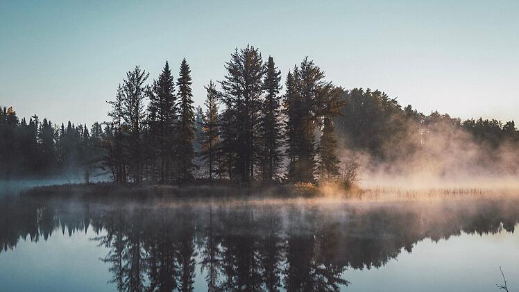 F&uuml;r rund 500 Fische im Weiher besteht Hoffnung. Die &ouml;rtliche Feuerwehr konnte das ausgelaufene Benzin und &Ouml;l schnell abpumpen. Symbolfoto: Juan Davila/unsplash.com