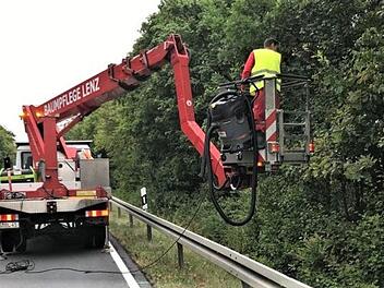 Matthias Scheder, Mitarbeiter der Baumpflege Lenz GmbH (Ebenhausen), saugt die Nester des Eichenprozessionsspinners ab. Foto: Joachim Lenz