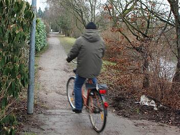 Der Rad- und Fußweg zieht sich parallel zur Krankenhausstraße entlang der Wiesent (rechts) in Richtung Osten. Auf Höhe der Weberstraße (sie verläuft links vom Radweg) landen die Radfahrer und Passanten im Matsch.  Foto: Ekkehard Roepert