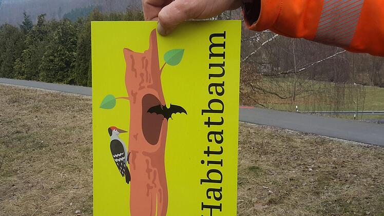 Gelbe Signalfarbe und eine verständliche Zeichnung prägen das Schild, das auf den jeweiligen Habitatbaum hinweist. Foto: Rolf Pralle