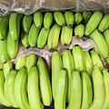 Kokain in Bananenkisten entdeckt: Teilweise schon in den Supermarkt geliefert