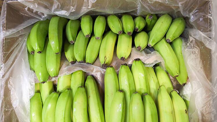 Kokain in Bananenkisten entdeckt: Teilweise schon in den Supermarkt geliefert