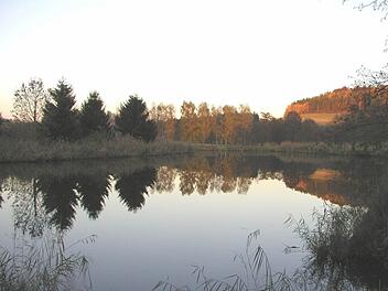 Diese Teilkläranlage in Birkenfeld wird von beiden Gemeinden unterhalten. Foto: Schmidt