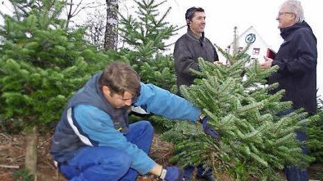 Hermann Bayer (Mitte) und sein Sohn Josef (links) spenden auch heuer wieder einen Euro pro verkauftem Christbaum für das neue Wohnheim der Lebenshilfe. Mit im Bild ist Lebenshilfe-Geschäftsführer Wolfgang Palm (rechts) bei der Übergabe der Spendenbox. Foto: Heike Schülein