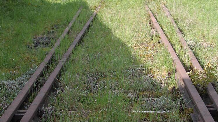 Im Kreuzungsbereich selbst sieht die Gleisanlage etwas gepflegter aus. Foto: Ulrike Müller