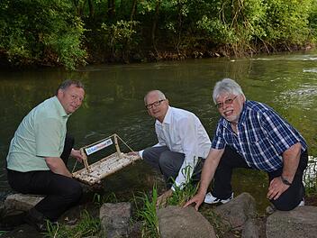 Wie schon im vergangenen Jahr soll das Floß, das als Symbol für das Saale-Musicum steht an der Grenze zwischen den Landkreisen Rhön-Grabfeld und Bad Kissingen weitergereicht werden. Unser Archivfoto aus 2013 zeigt Landrat Thomas Bold, Niederlauers Bürgermeister Richard Kneier und Bad Bocklets Bürgermeister Wolfgang Back die das Floß in Nickersfelden zu Wasser lassen.  Foto: Björn Hein/Archiv