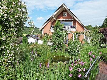 Der 2000 Quadratmeter große Naturgarten der Familie Beinlich (Am Schrötla 11) gleicht mit 250 farbenprächtigen Rosensträuchern einem Gartenparadies. Foto: Gerd Fleischmann