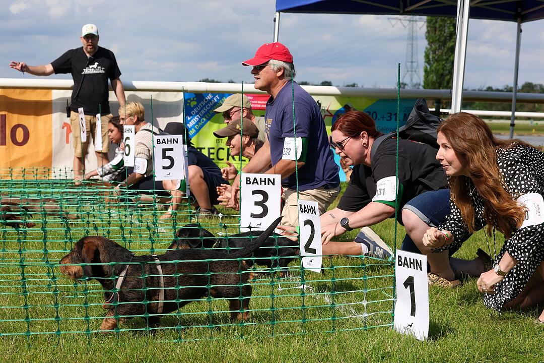 2.Deutsche Meisterschaft im Dackelrennen